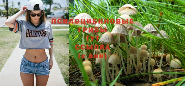 амфетамин Михайловка