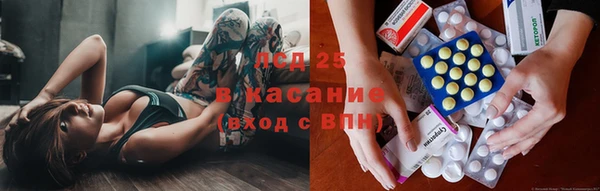 ПСИЛОЦИБИНОВЫЕ ГРИБЫ Грязи