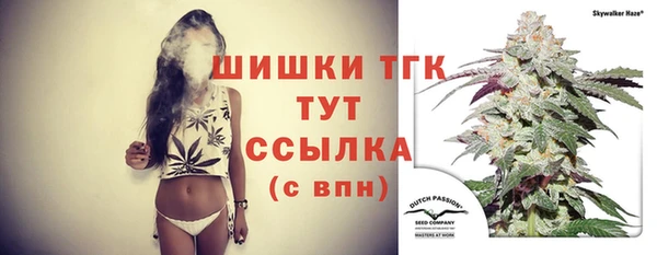 ПСИЛОЦИБИНОВЫЕ ГРИБЫ Грязи