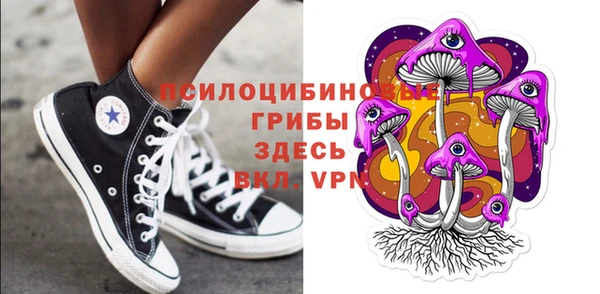 СК Магадан