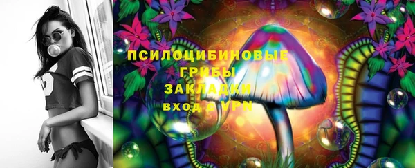 ПСИЛОЦИБИНОВЫЕ ГРИБЫ Грязи