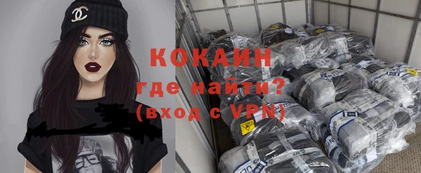 шишки Майский